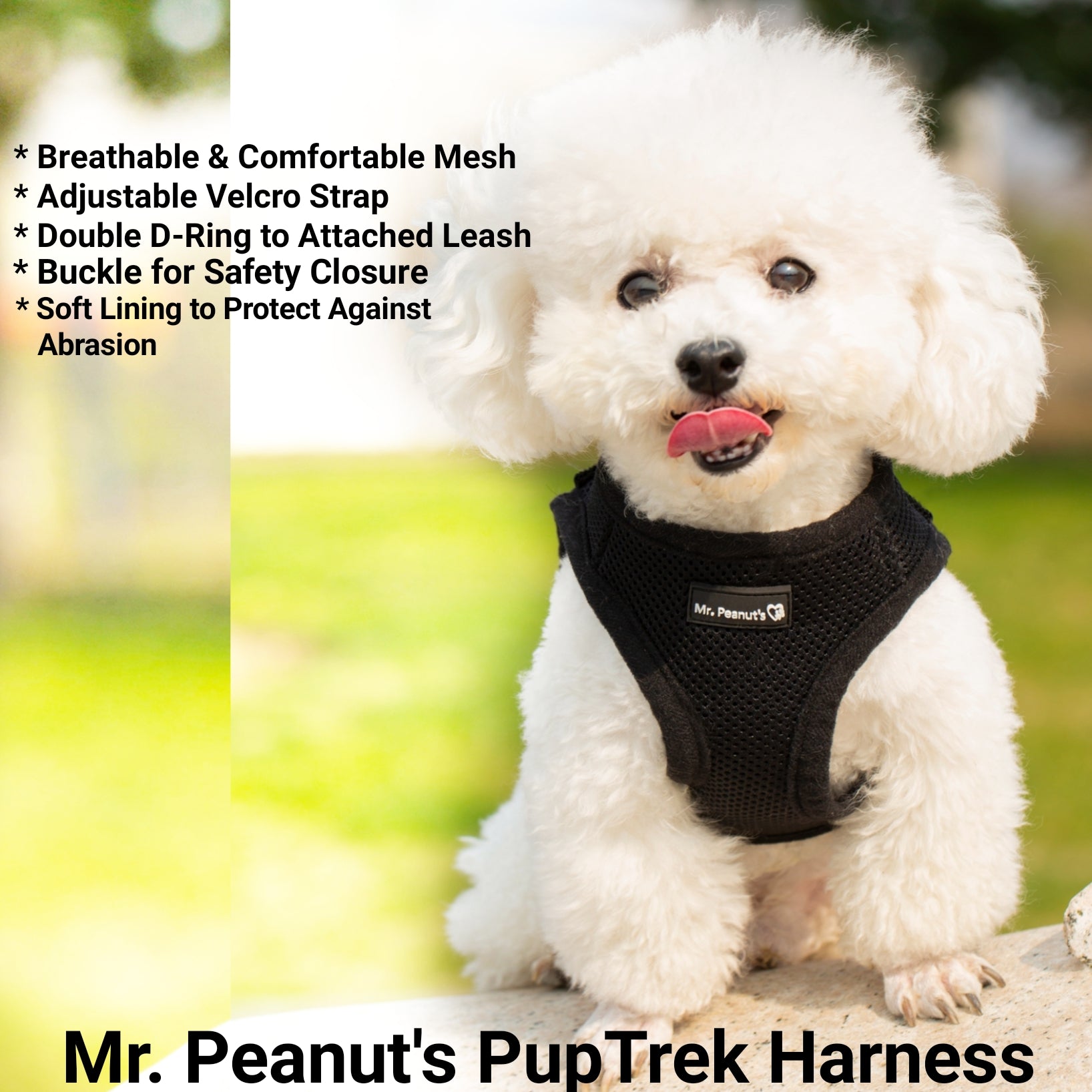 Mr. Peanut's PupTrek Soft Mesh Pet Harness with Matching Leash – Adjustable, Breathable, Choke-Free - BIG FRENCHIES