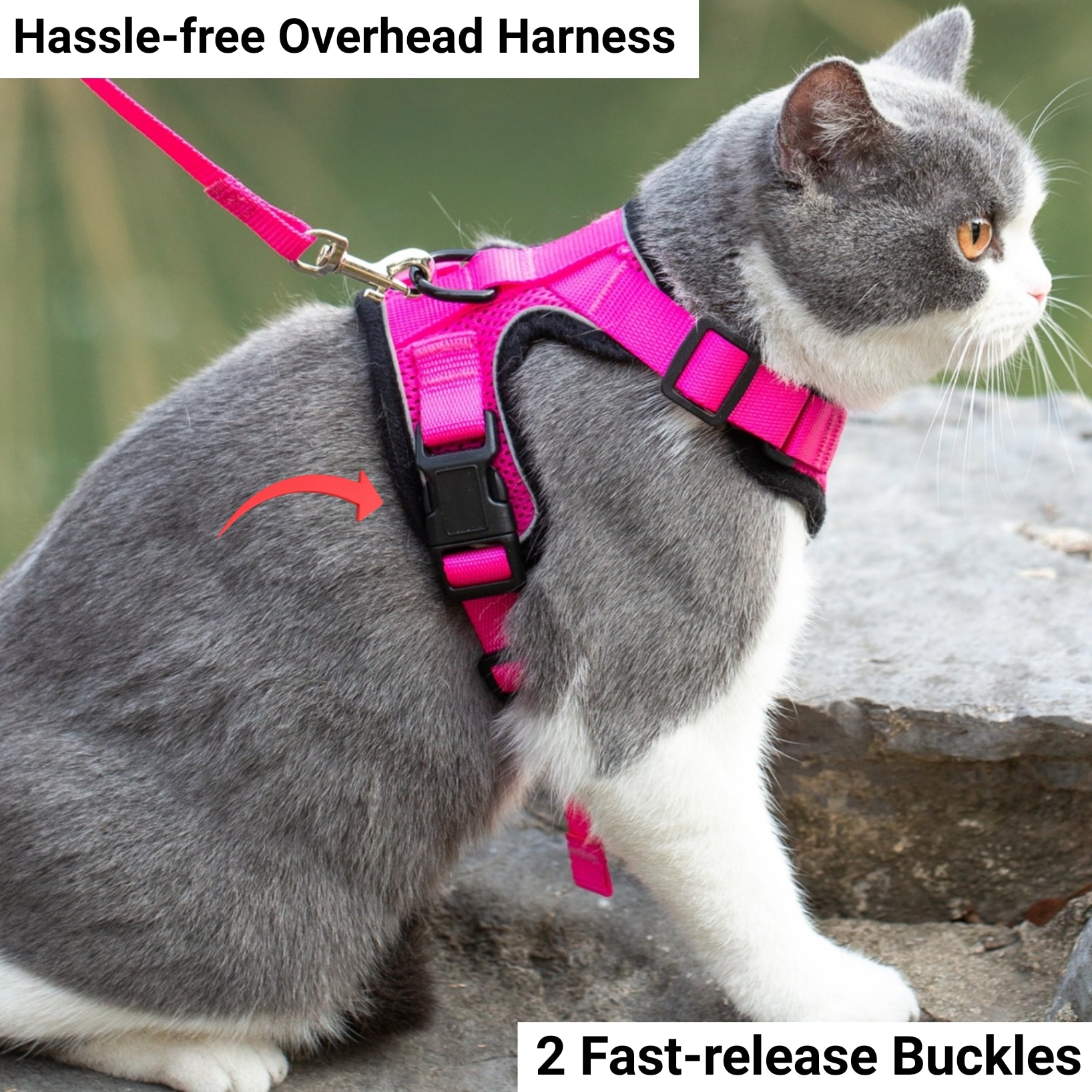 Mr. Peanut's PurrTrek Reflective Cat Harness with Matching Leash - BIG FRENCHIES