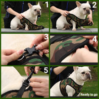 Mr. Peanut's PupTrek Soft Mesh Pet Harness with Matching Leash – Adjustable, Breathable, Choke-Free - BIG FRENCHIES