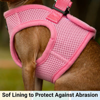 Mr. Peanut's PupTrek Soft Mesh Pet Harness with Matching Leash – Adjustable, Breathable, Choke-Free - BIG FRENCHIES