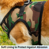 Mr. Peanut's PupTrek Soft Mesh Pet Harness with Matching Leash – Adjustable, Breathable, Choke-Free - BIG FRENCHIES