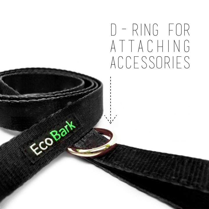 Black Dog Leash- EcoBark- Comfort Grip Padded Leash 5ft for Small and Medium Dogs - BIG FRENCHIES