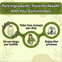 Plantora Plant Protein Powder | 29.77 oz