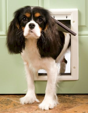 PetSafe Plastic Dog Door PPA00-10958, Small, for Pets up to 15 lb, Paintable Frame for Storm Doors