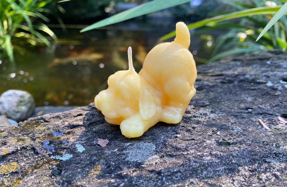 Playing Puppy Beeswax Candle