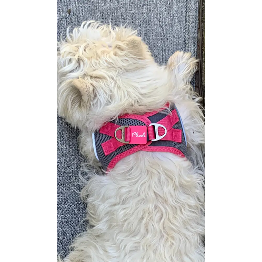 Plush Step In Air Mesh Harness - Shark Grey/Pink