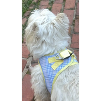 Plush Step In Harness Spring Plaid