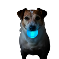 Strobe Ball Light-Up Dog Toy - Durable Floating Chew Ball | Made in USA - BIG FRENCHIES