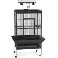 Prevue Pet Products Large Select Wrought Iron Play Top Bird Cage 3153 in Pewter with Push Button Door Lock