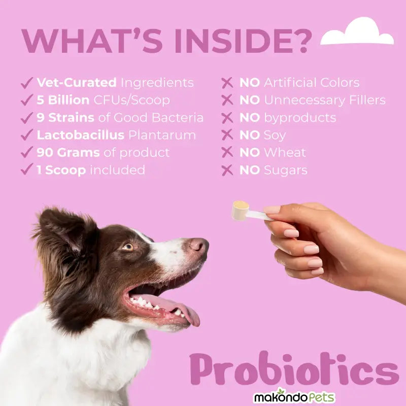 Probiotics for Dogs and Puppies. 90 Scoops - BIG FRENCHIES
