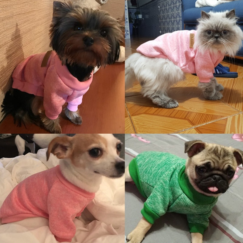 XS-2XL Winter Warm Pet Sweater - BIG FRENCHIES