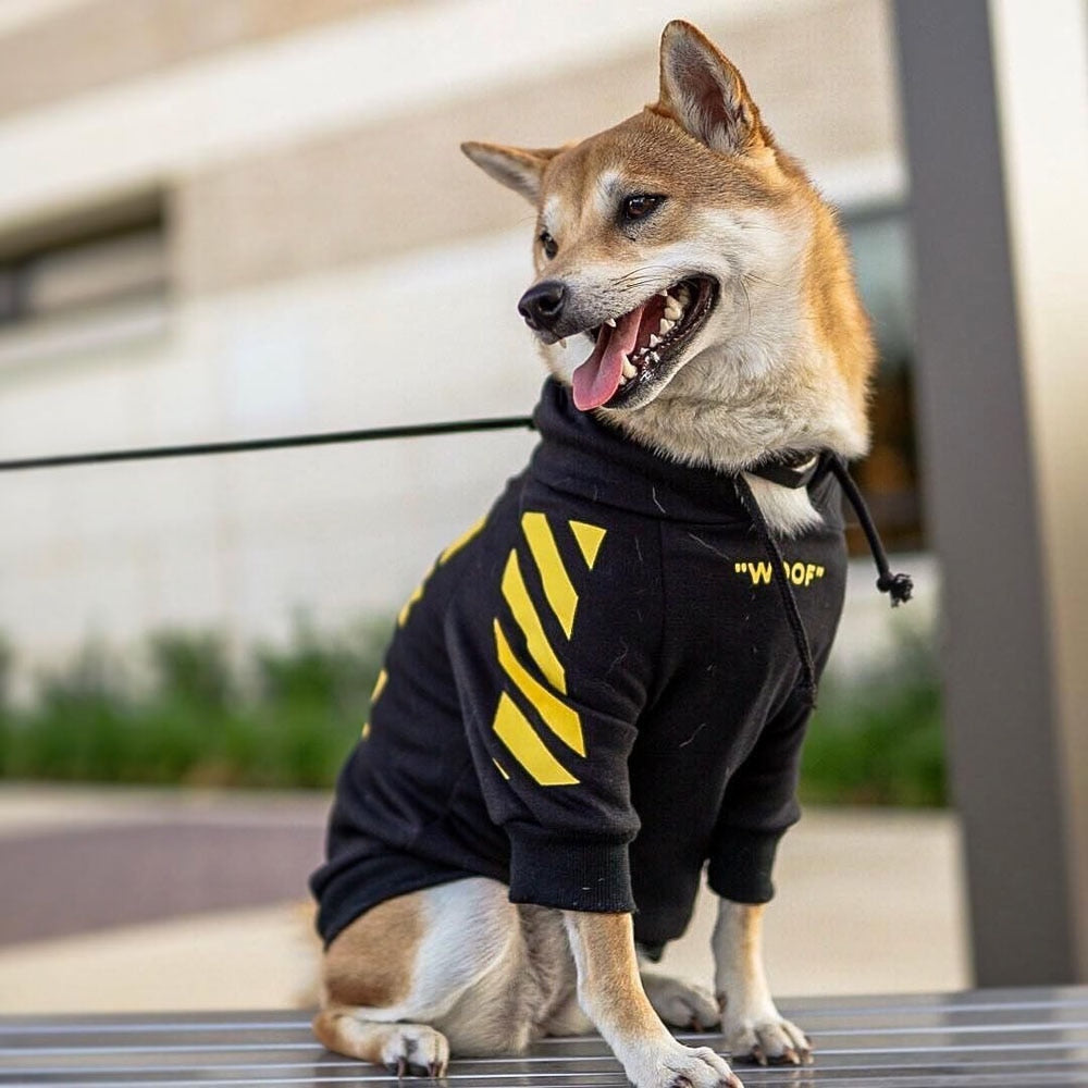 Fresh Pawz Woof Dog Hoodie - BIG FRENCHIES
