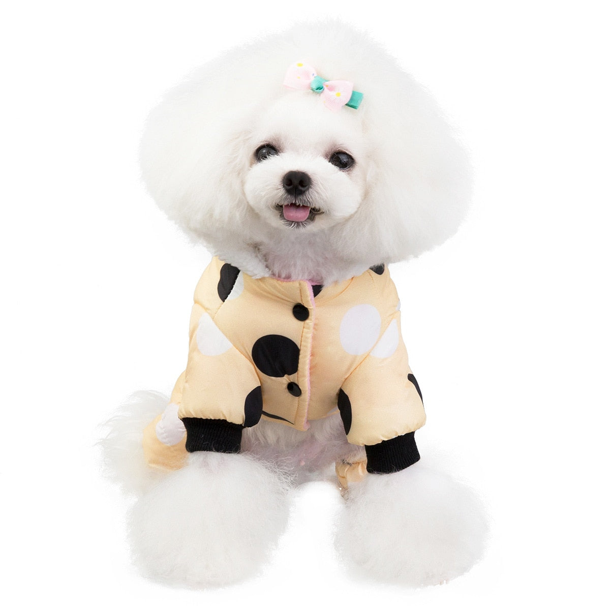 Big Polka Dot Snowsuit Jumpsuit - BIG FRENCHIES