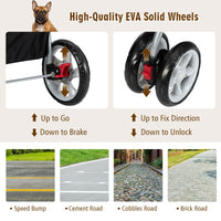 Foldable Pet Stroller 4-Wheel Travel Carrier - BIG FRENCHIES