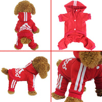 Adidog Pet Pet Four-Legged Hoodie XS-XXL - BIG FRENCHIES