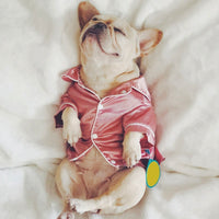 Luxury Soft Silk Pajamas - BIG FRENCHIES
