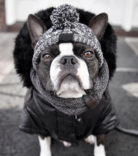 Autumn Winter Warm Knitted Pet Hats With Fluffy Ball - BIG FRENCHIES