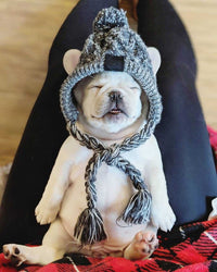 Autumn Winter Warm Knitted Pet Hats With Fluffy Ball - BIG FRENCHIES