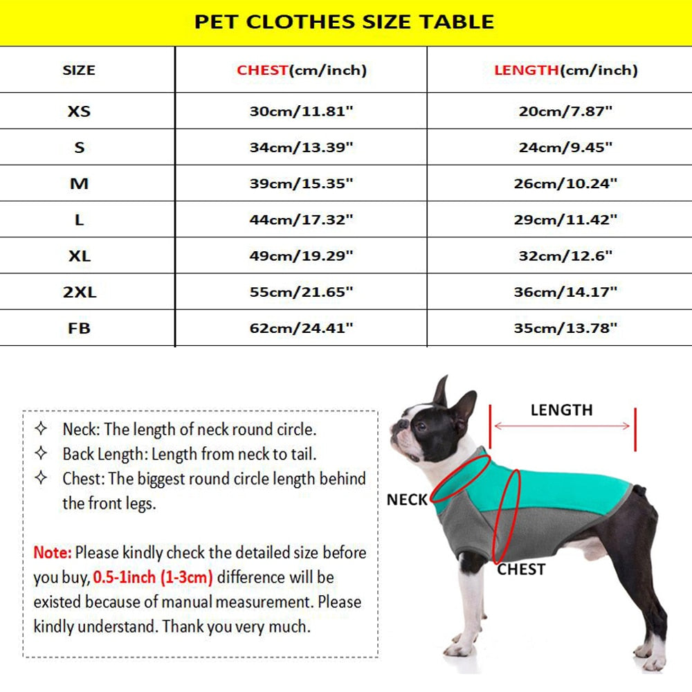 Money Print Dog Hoodie - BIG FRENCHIES