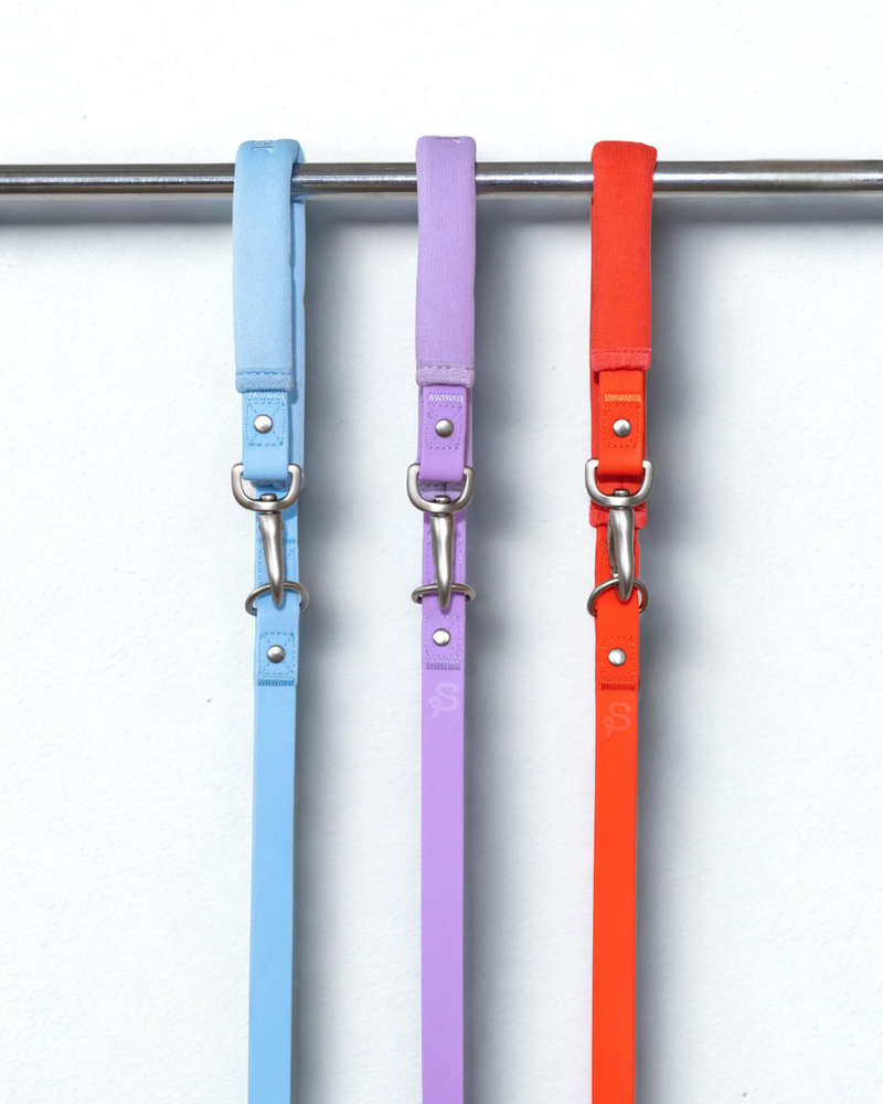 Original Dog Leash with Neoprene Handle - BIG FRENCHIES