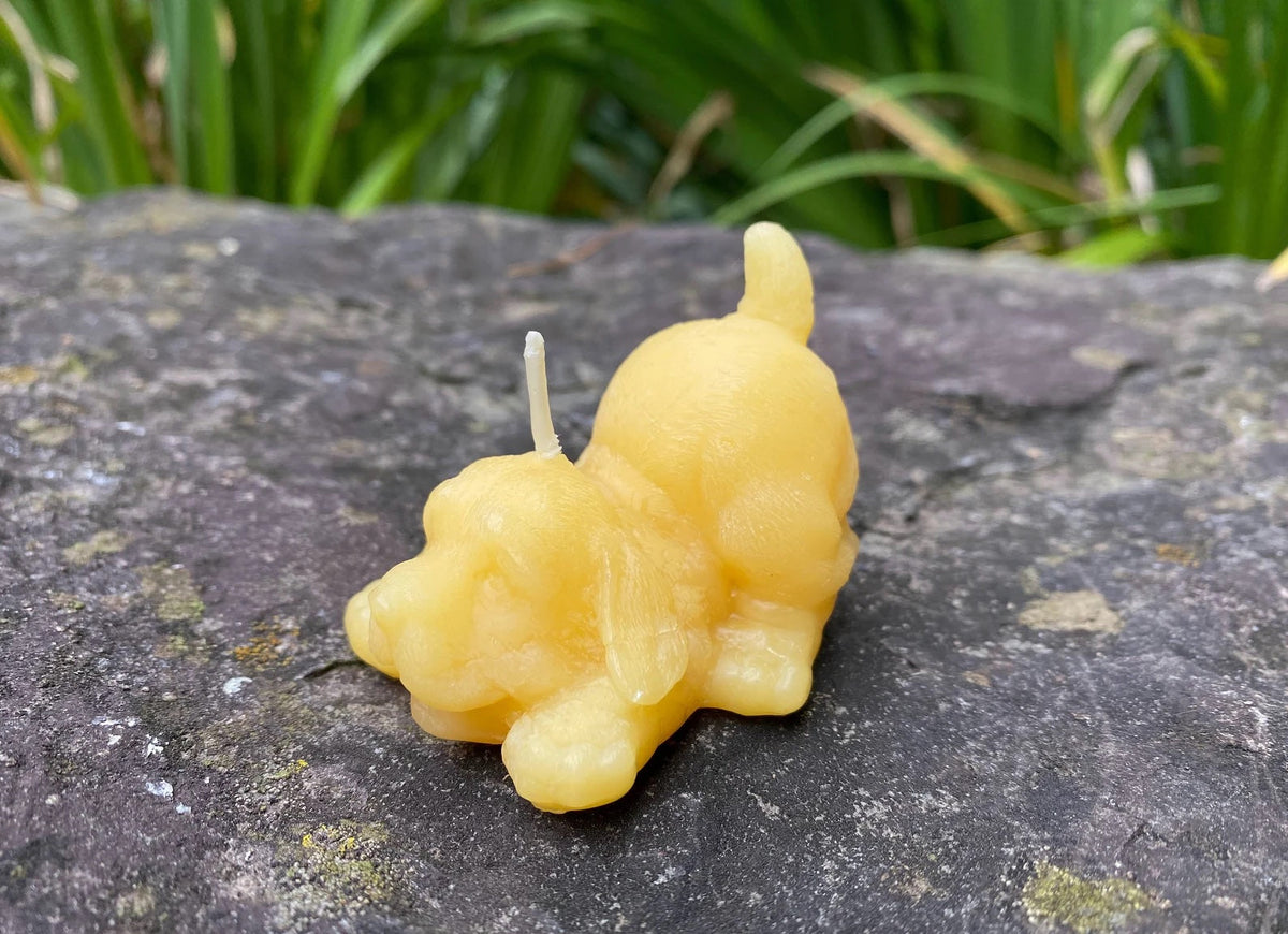 Kitten and Puppy Buddies Beeswax Candle Set
