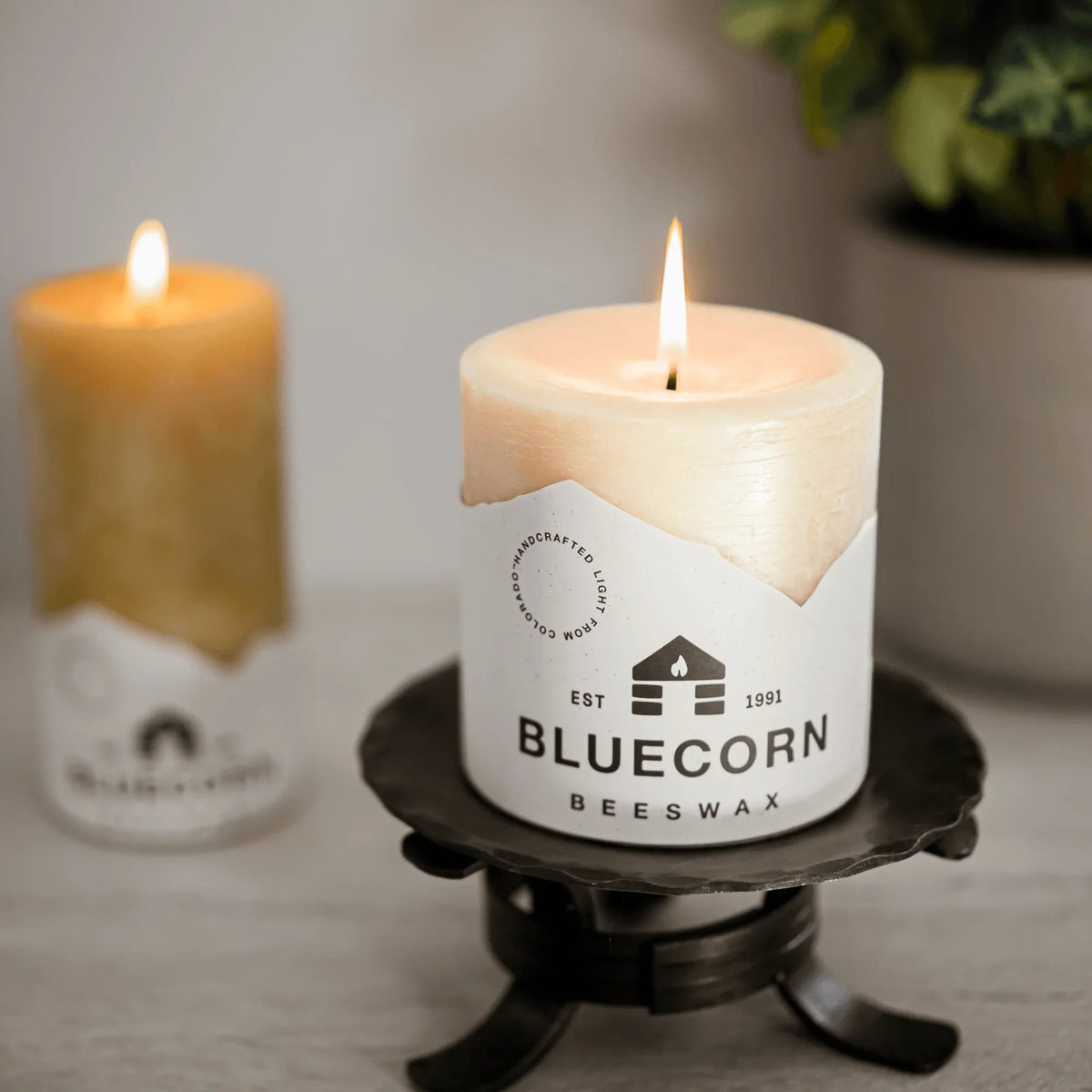 Ivory Pure Beeswax Pillar Candles - BIG FRENCHIES