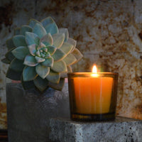 Pure Beeswax Votive Candles - BIG FRENCHIES