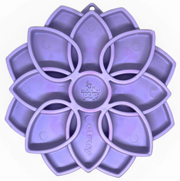 Mandala Softie eTray Shallow Slow Feeder Dog Bowl with Suction Cups | USA Made - BIG FRENCHIES