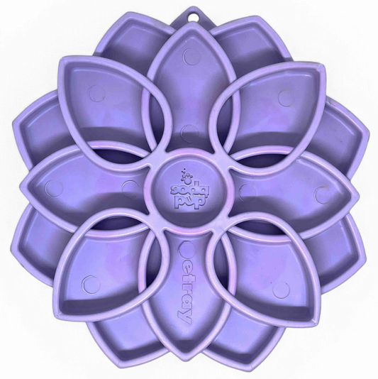 Mandala Softie eTray Shallow Slow Feeder Dog Bowl with Suction Cups | USA Made - BIG FRENCHIES