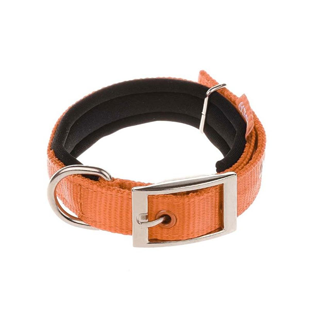 Doca Soft Fabric Turquoise Pet Collar for Dogs and Cats - Adjustable Buckle, Comfortable and Stylish Design