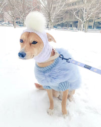 Haute Couture Feathered Luxury Pet Sweater - BIG FRENCHIES