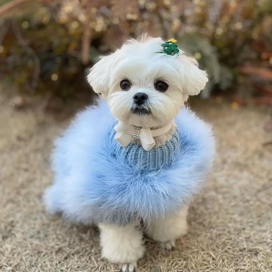 Haute Couture Feathered Luxury Pet Sweater - BIG FRENCHIES