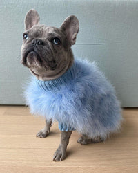 Haute Couture Feathered Luxury Pet Sweater - BIG FRENCHIES
