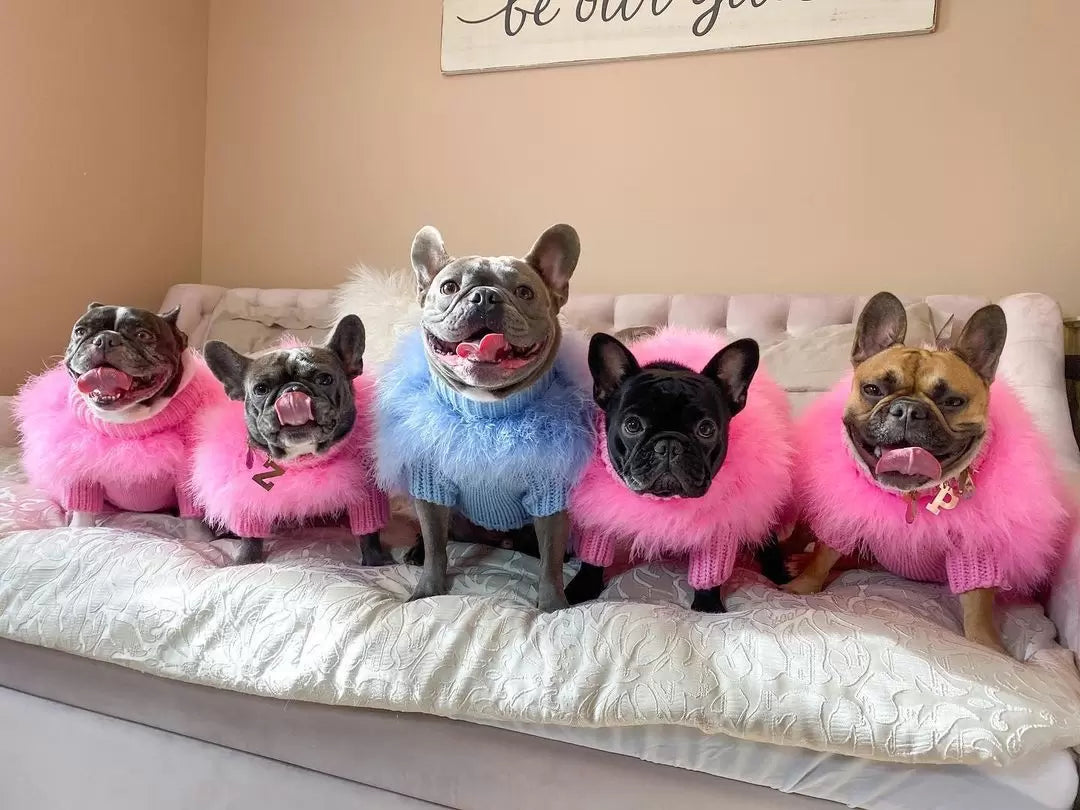 Haute Couture Feathered Luxury Pet Sweater - BIG FRENCHIES