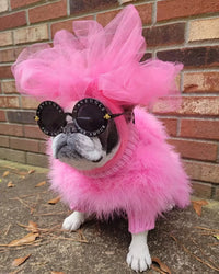Haute Couture Feathered Luxury Pet Sweater - BIG FRENCHIES