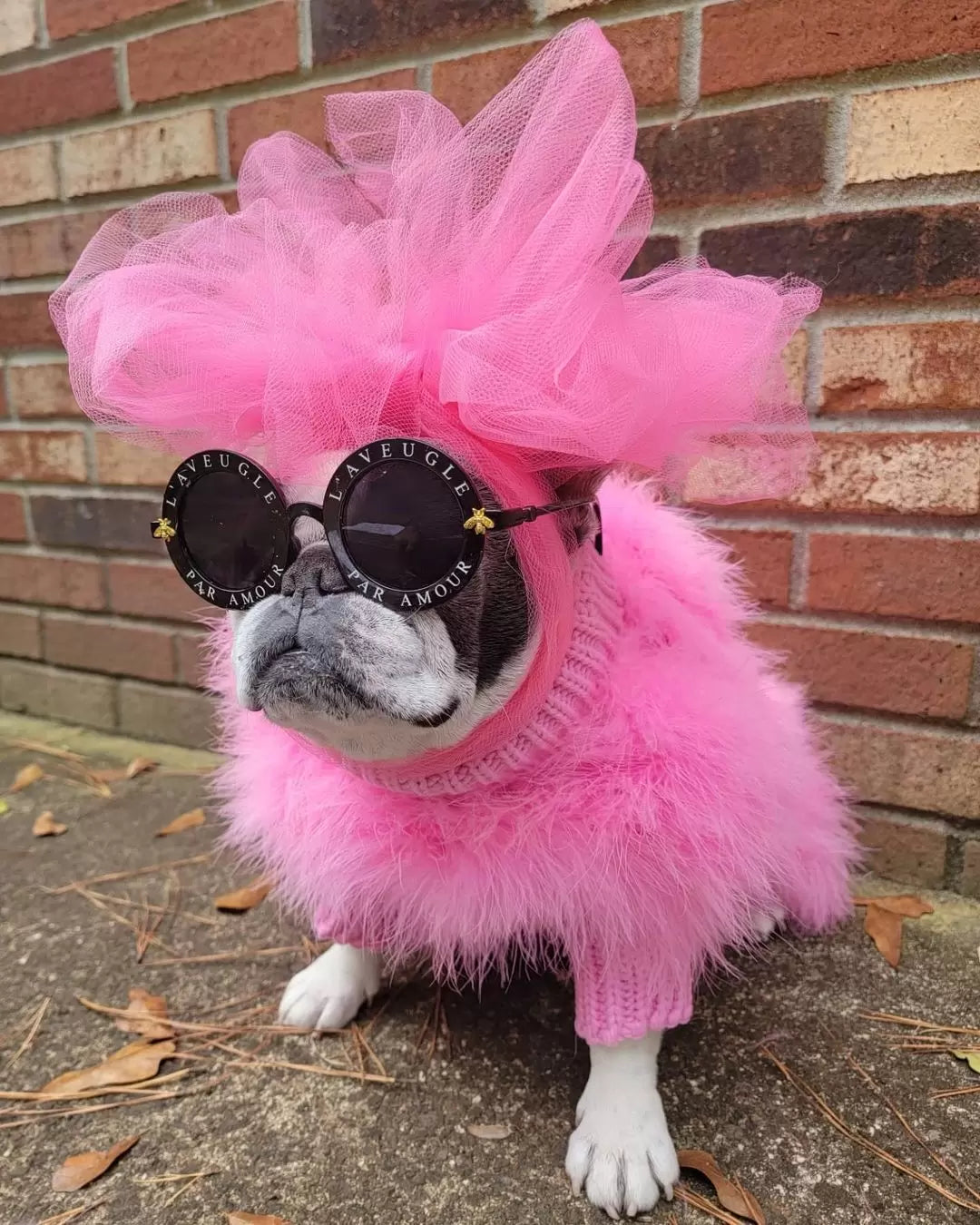 Haute Couture Feathered Luxury Pet Sweater - BIG FRENCHIES