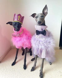 Haute Couture Feathered Luxury Pet Sweater - BIG FRENCHIES
