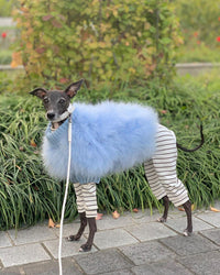 Haute Couture Feathered Luxury Pet Sweater - BIG FRENCHIES