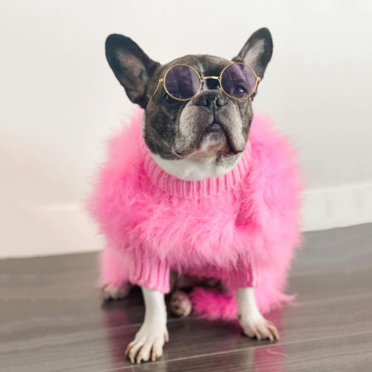 Haute Couture Feathered Luxury Pet Sweater - BIG FRENCHIES