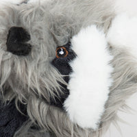 Redwood Raccoon X-Brace™ Plush Dog Toy - BIG FRENCHIES