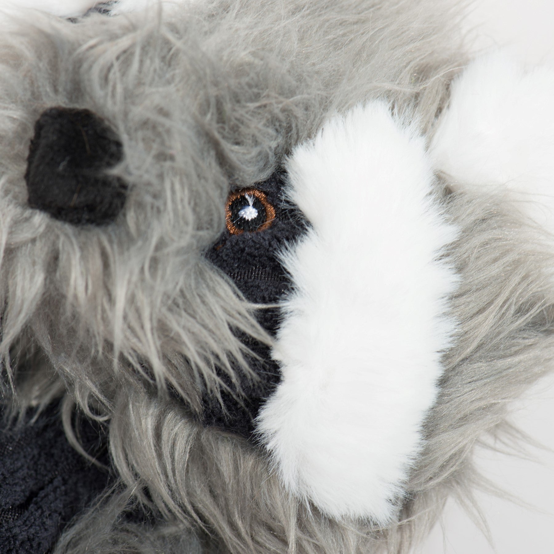 Redwood Raccoon X-Brace™ Plush Dog Toy - BIG FRENCHIES