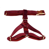 Personalized Red Wine Velvet Classic Set