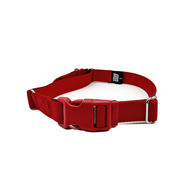 Martingale Dog Collar-Pet Collars & Harnesses-BIG FRENCHIES-Come Here Buddy