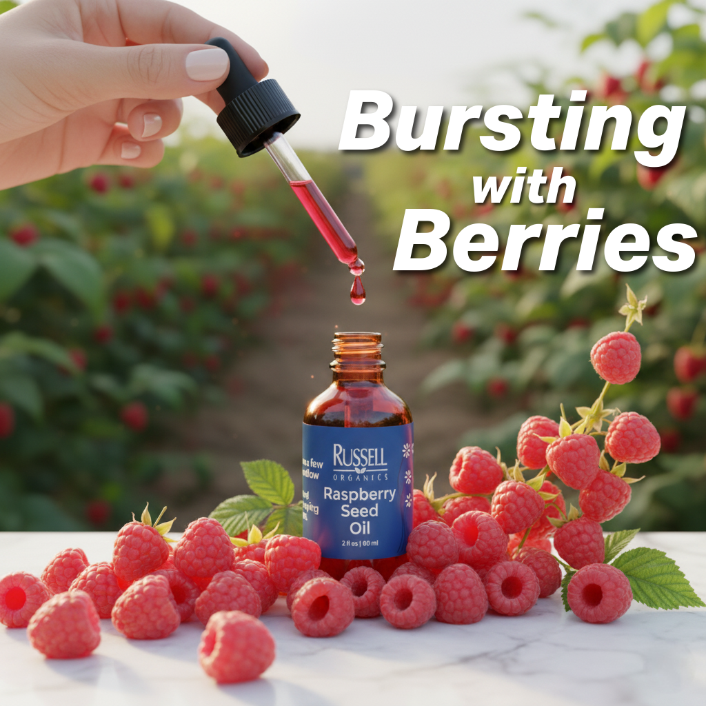 Raspberry Seed Oil - BIG FRENCHIES