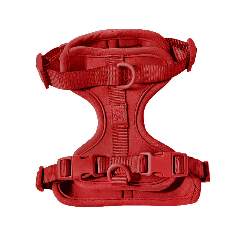 Harness-Pet Collars & Harnesses-BIG FRENCHIES-Come Here Buddy