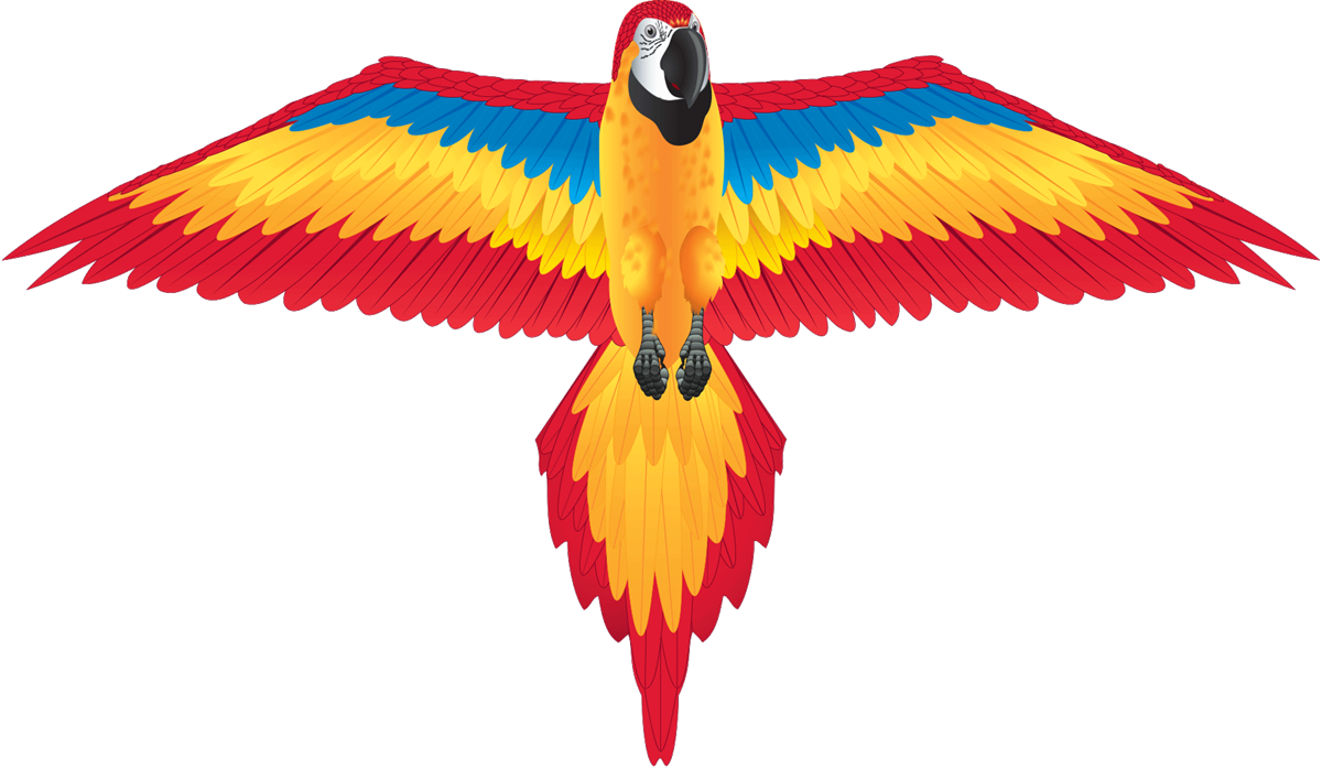 FantasyFliers Red Macaw Nylon Kite, 70 Inches Wide