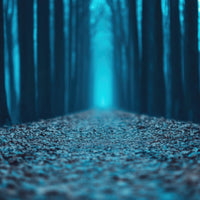 Moonlit Grove | Fragrance Inspired Luxury Soy Wax Candle