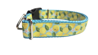 Lemons Nylon Dog Collar