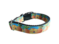 Pineapple Nylon Dog Collar