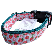 Strawberry Flowers Green Nylon Dog Collar MD, LG, XL, Leash